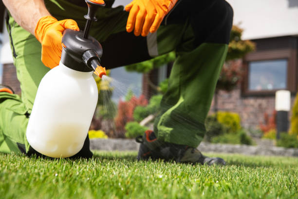 Best Affordable Pest Control Services  in Manassas, VA