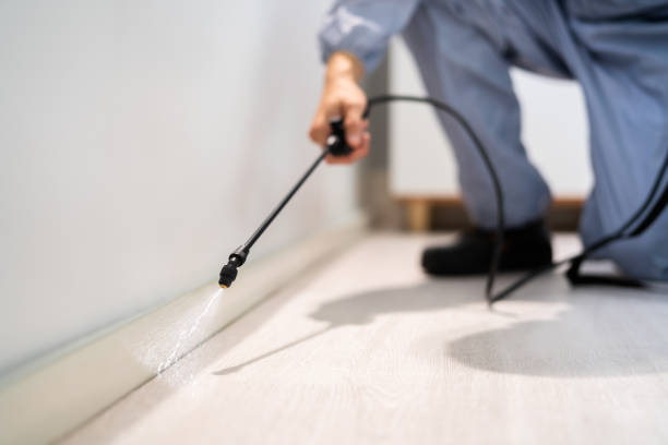 Reliable Manassas, VA Pest Control Solutions