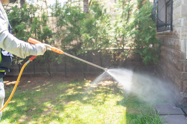 Professional Pest Control in Manassas, VA