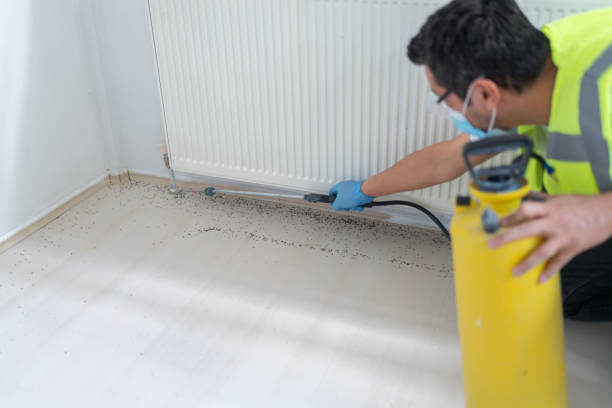 Pest Control for Restaurants in Manassas, VA